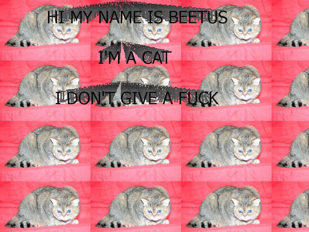 beetuskitty