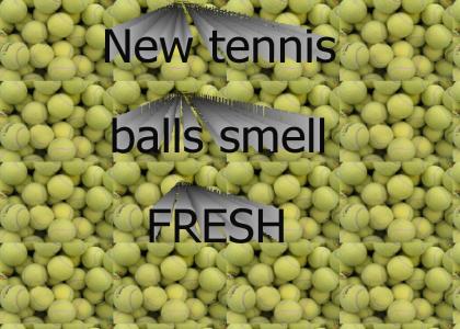 tennis balls smell great
