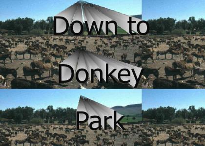 Donkey Park (Dew Army)