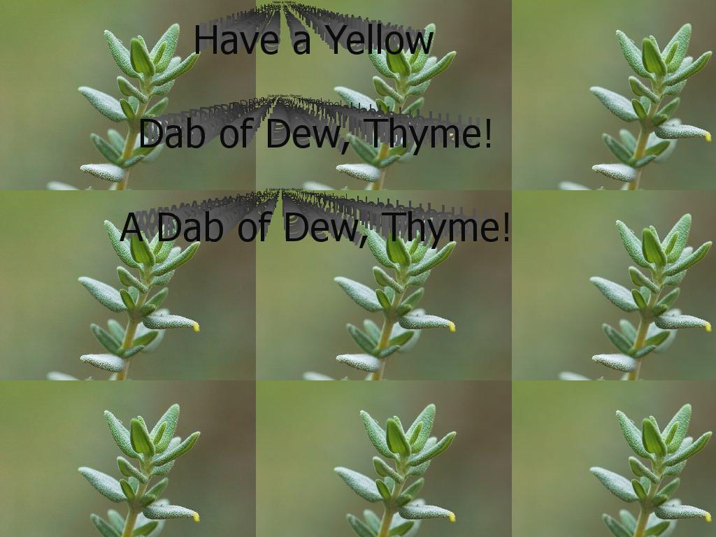 dabofdew