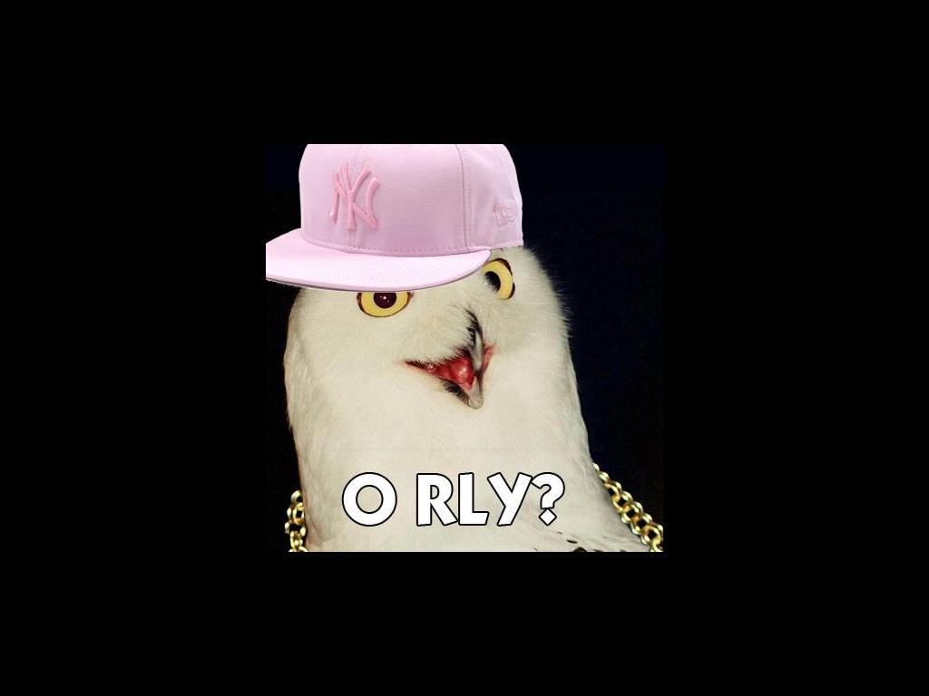 orlygangstaowl