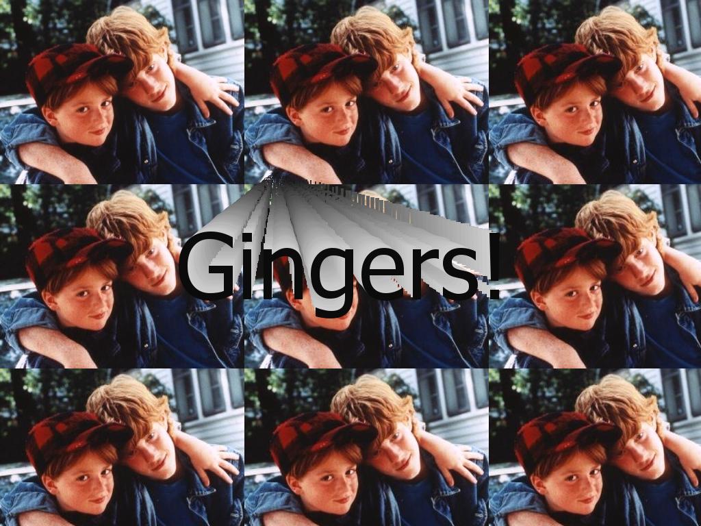 gingerpete