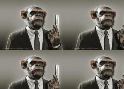 Gangster Monkey (OMG!)