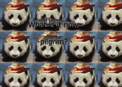 What is it now pilgrim? Sad Panda!