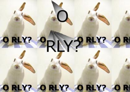 The O RLY bunny