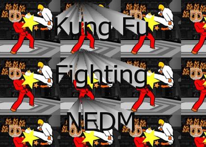 Kung fu Fighting NEDM