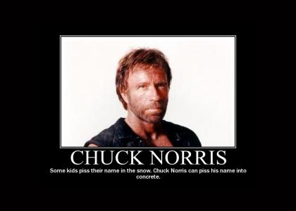 Chuck Norris Motivational Poster