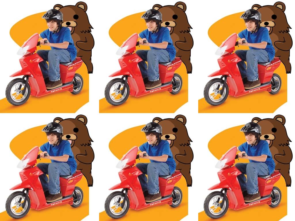 scooterbear