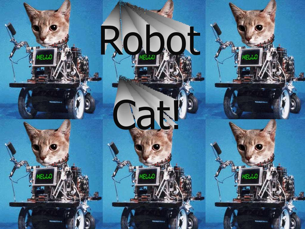 robotcat