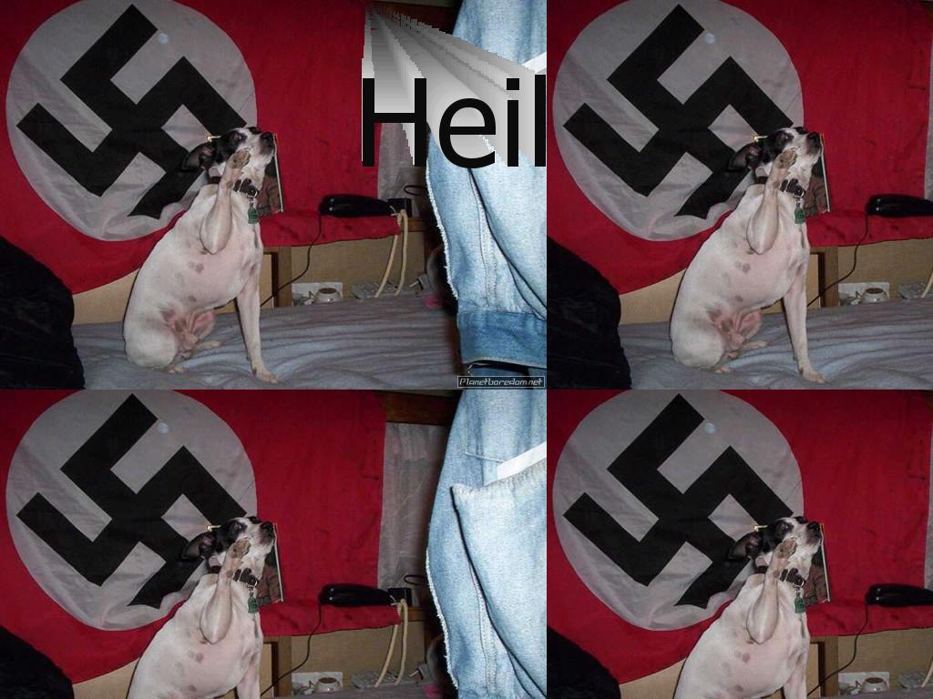 NaziDog