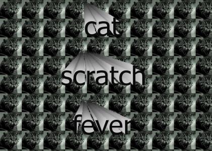 cat scratch