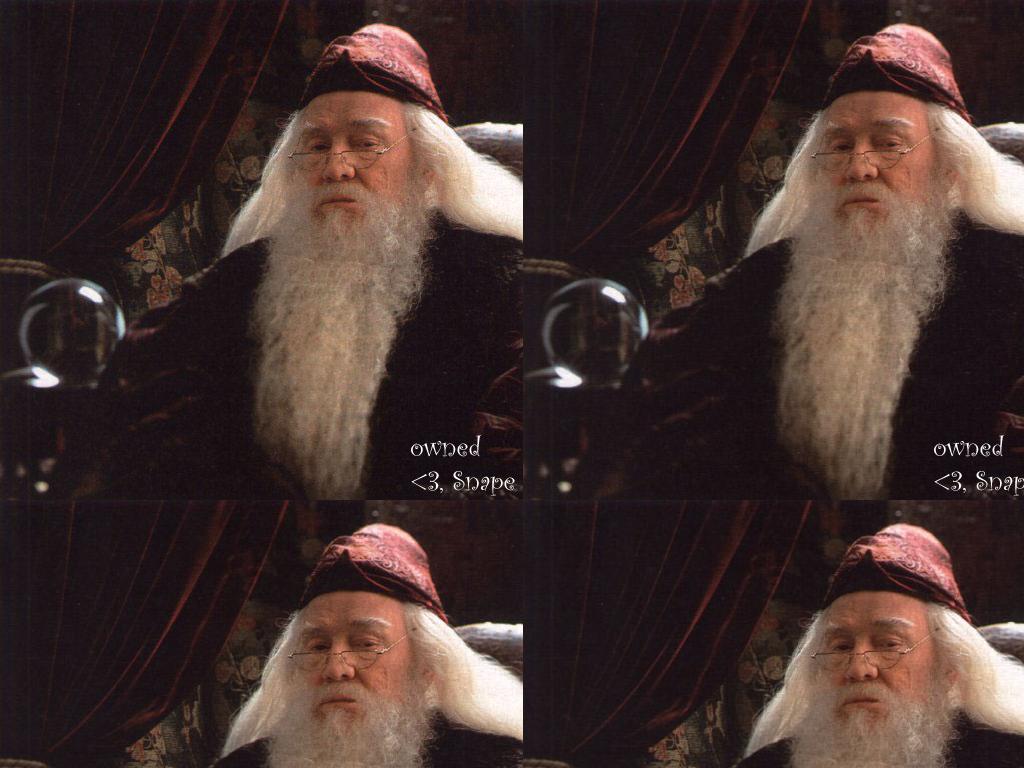 ripdumbledore