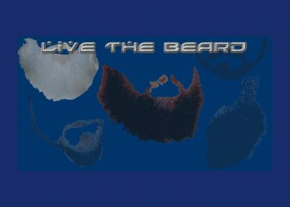 BEARDTMND: The Four Rules of Beard