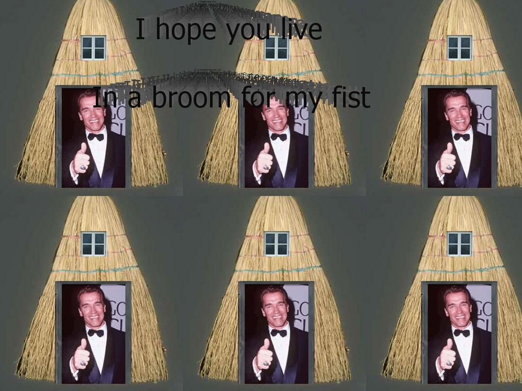 broomwithmyfist