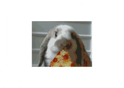 Mr.Rabbit enjoys pizza