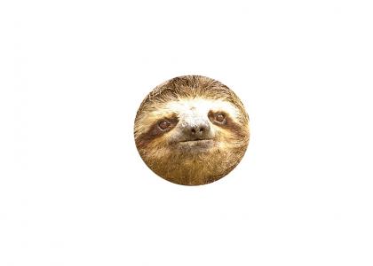 ROLLSLOTH