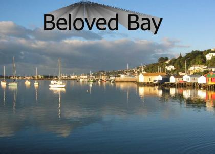 Beloved Bay