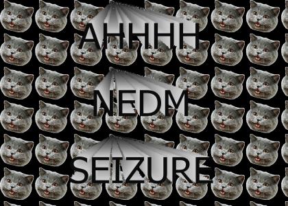 nedmgivesseizures