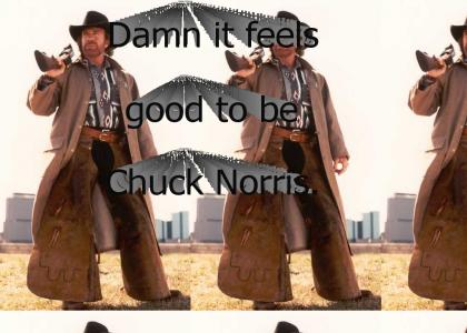 Damn it feels good to be chuck norris