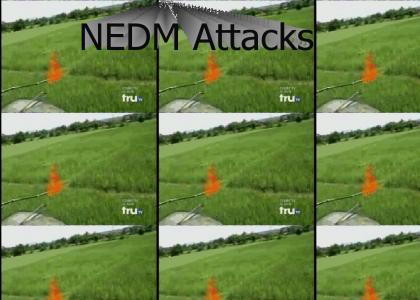 NEDM Attack
