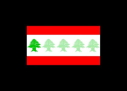 Lebanon rates Israel