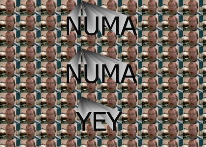 A Tribute to Numa Numa