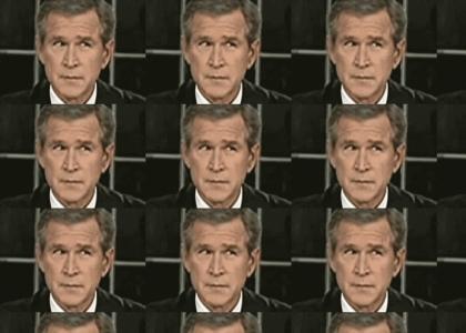 George Bush going insane