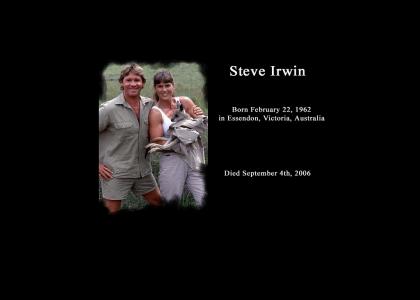 A tribute to the late Steve Irwin