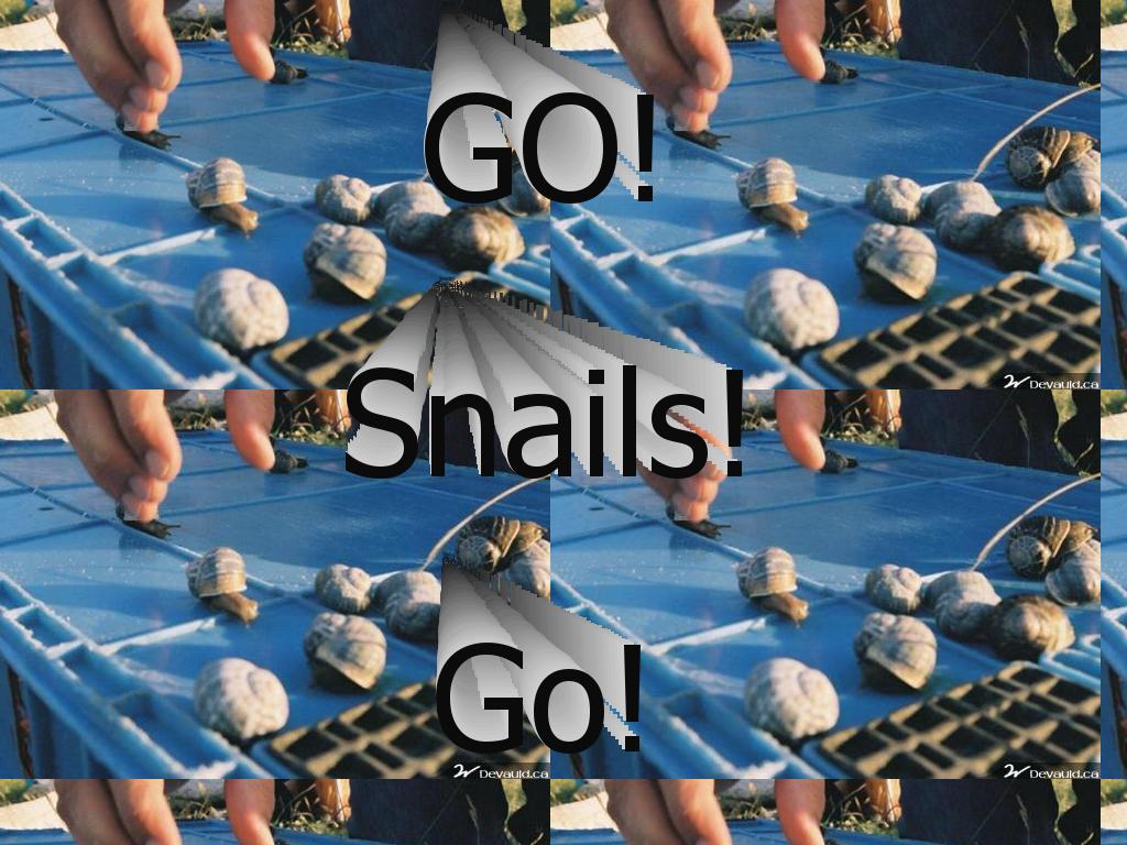 snailracingpcd