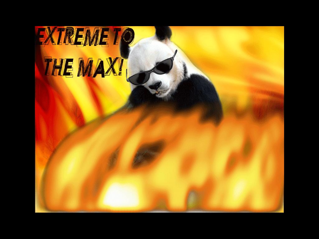 extremetothemax