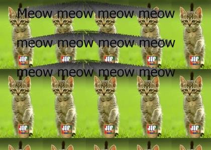 meow meow meow meow meow meow