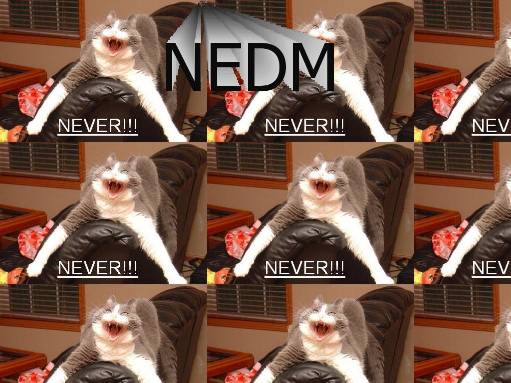 NEDMNEVER