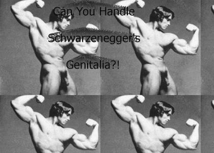 Schwarzenegger's Genitalia