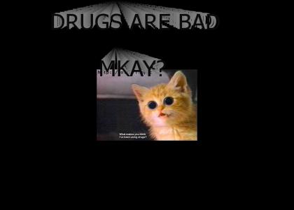 DRUG KITTY!
