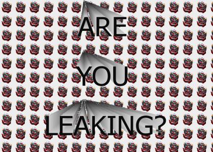 Are you leaking?