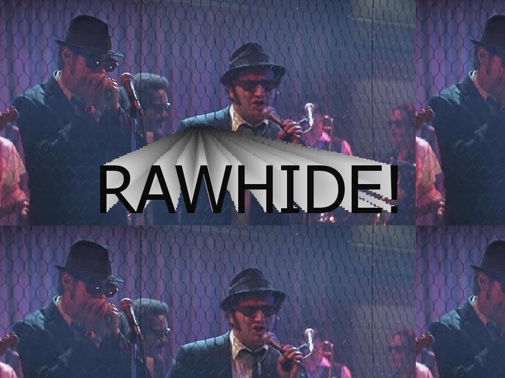 rawhide