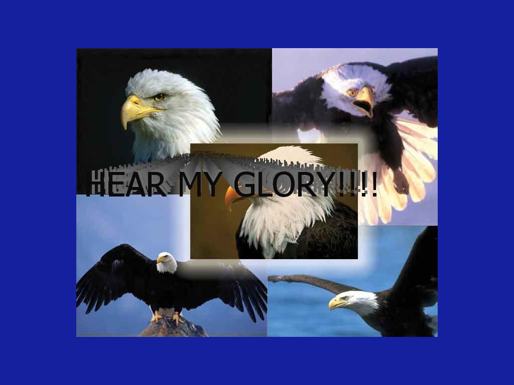 glorytotheeagle