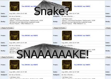 Snake is Dead