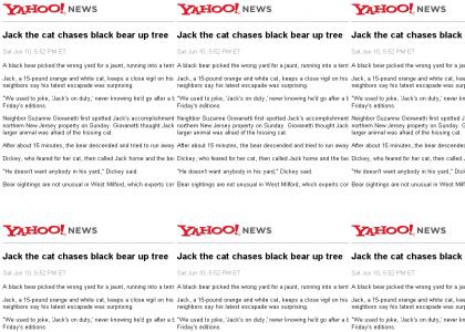 jack the cat vs. black bear - epic maneuver