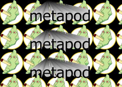 metapod