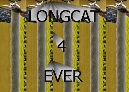 longcat4ever