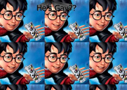 HARRY POTTER IS GAY?!?!?!?!?!?!?!?!?!?!?!?!?!?!?!