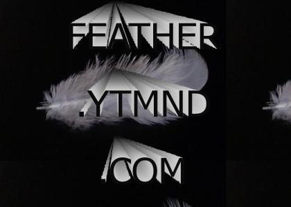 feather.ytmnd.com