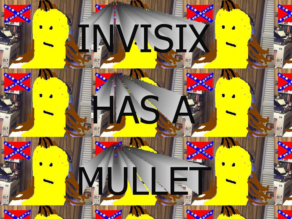 mulletinvisix