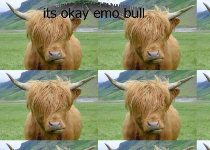 emo bull