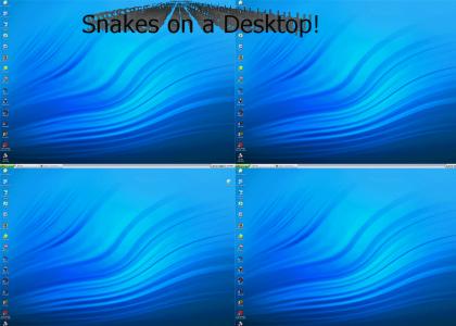 Snakes on a Desktop!