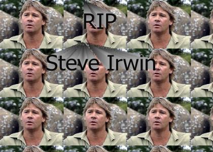 RIP Steve Irwin