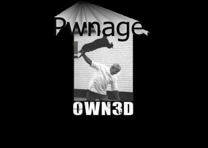 In case you don't know what "Pwned" means  - - - - - -   (aka Owned, Pwnt, Pwn3d, or n. Pwnage)