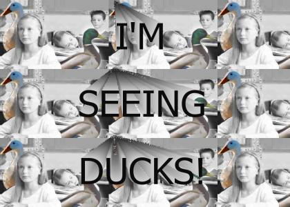 Seeing ducks?!