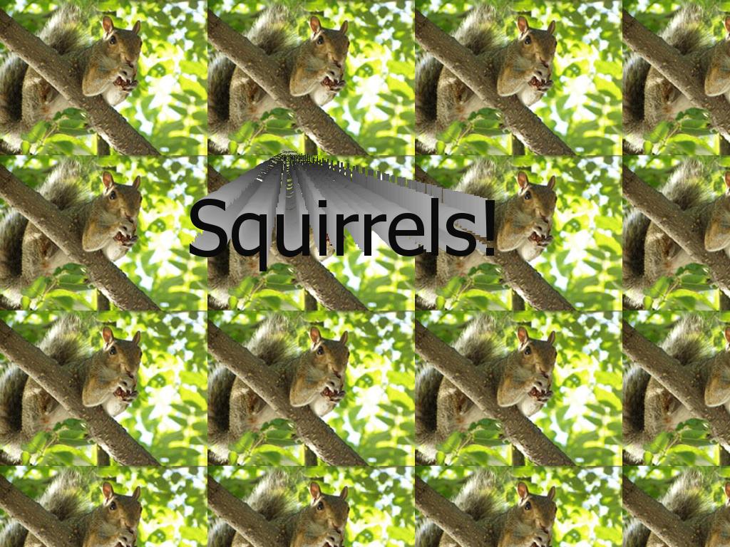 Squirrelssongwow